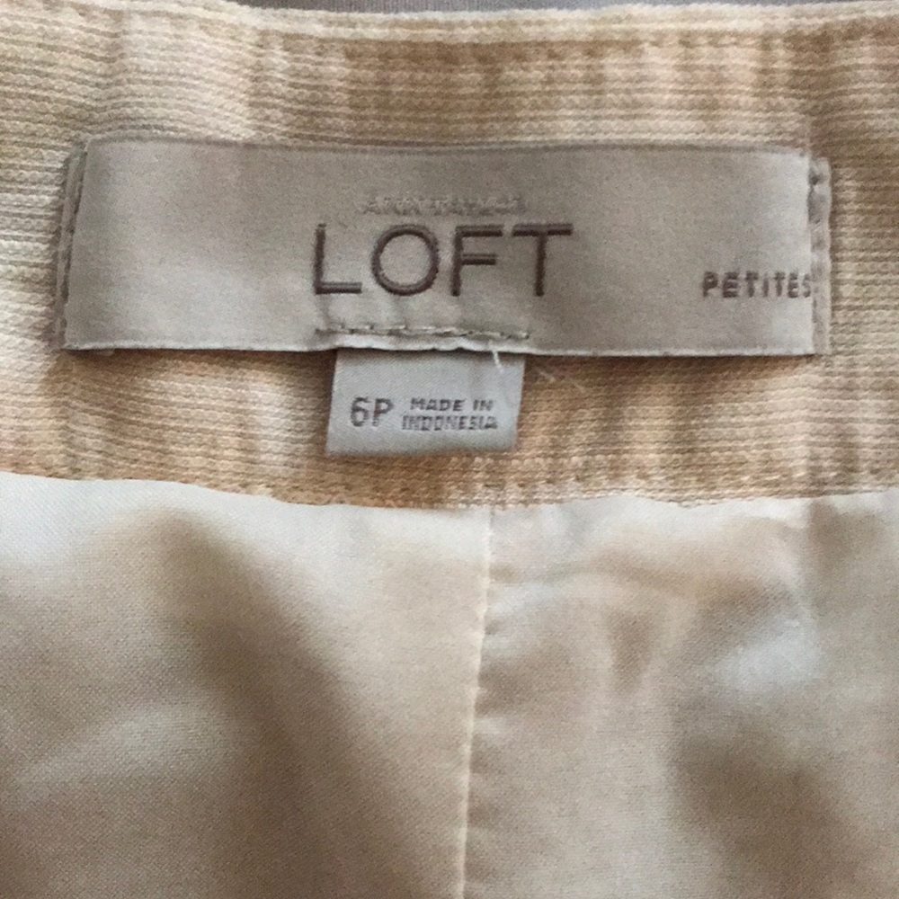 LOFT Skirt Size 6P - Picture 2 of 5